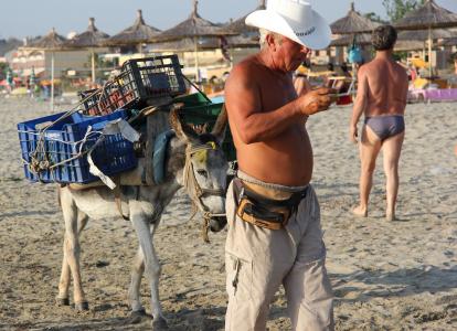 海滩, 卖方, 驴, 阿尔巴尼亚, 板条箱, 帽子