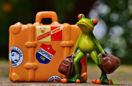 青蛙, 旅行, 假日, 乐趣, 有趣, 图, 走开