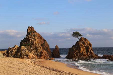 哥斯达黎加, 海滩, 海, 海岸线, 自然, 岩石-对象, 风景
