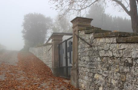秋天的落叶, 公墓, 雾, 秋天的心情, 建筑, 房子, 老