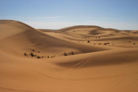 沙漠, 摩洛哥, 撒哈拉沙漠, 沙子