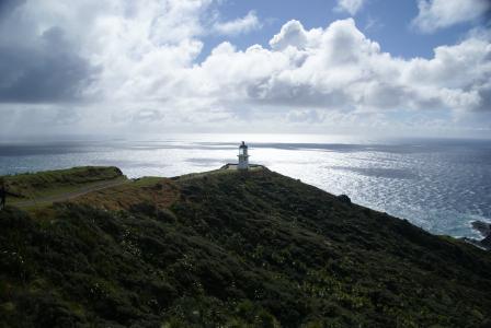 2009年8月, 新西兰, reinga 角, 如此和平, 海, 灯塔, 自然