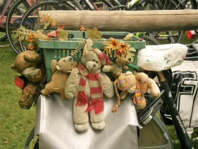 熊, 自行车, 自行车包, 购物篮, 装饰