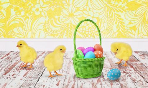 复活节, 小鸡, 小鸡, 复活节彩蛋, 复活节篮子, 假日, 鸡蛋
