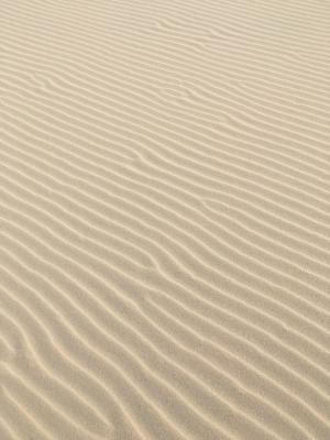 沙子, 砂线, 海滩, 草, 丹麦, 自然, 沙丘