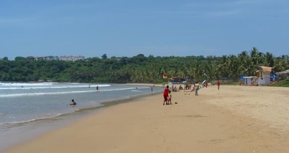 果阿, bogmalo 海滩, 印度, 海滩, 棕榈树, 美丽的海滩, 沙滩
