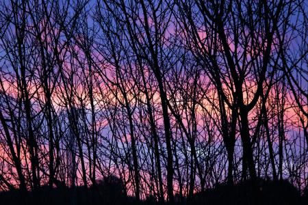 日落, 冬天, 拉莫斯, 粉红色的天空, 美, 自然, foreas