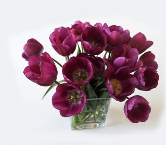郁金香, 花束, 花瓶, 花, 紫色, 春天, 很多