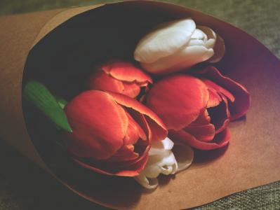 红色, 玫瑰, 花, 白色