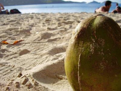 椰子, 特写, 沙子, 海滩, 夏季, 沙滩, 美丽的海滩