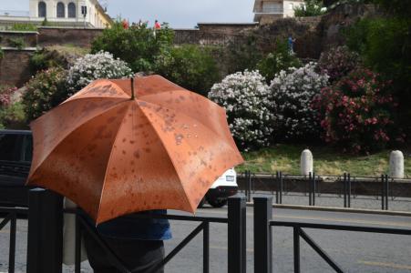 雨, 雨伞, 意大利, 罗马, 夏季
