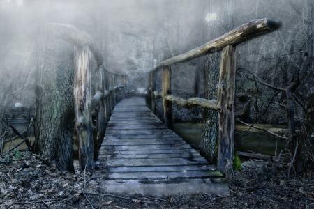 桥梁, 这座木桥, 颜色, 雾, 水, 没有人, 白天