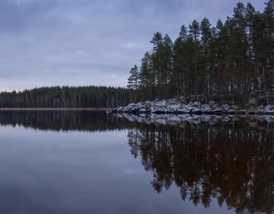 景观, 湖, 芬兰语, 海滩, 水, 自然, 自然写真