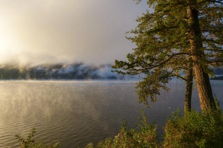 清晨, 日出, 云彩, canim 湖, 不列颠哥伦比亚省, 加拿大, 风光