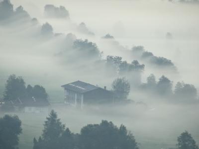 雾, 雾, 日出, 自然, 云彩, 心情, 早上小时