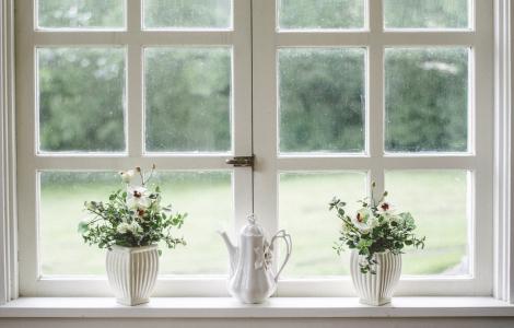 白色, 窗口, 玻璃, 盾牌, 框架, 花, 花瓶