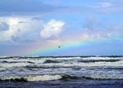 海, 彩虹, 海鸥, 波, 水, 自然, 天空
