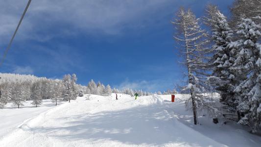 冬天, 滑雪, 寒冷, 雪, 自然, 树, 森林