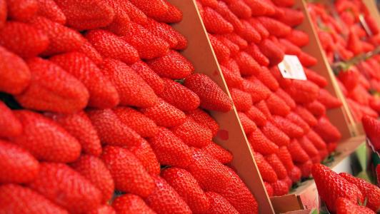 草莓, 市场, 开放市场, 浆果, 浆果, 草莓, 红色