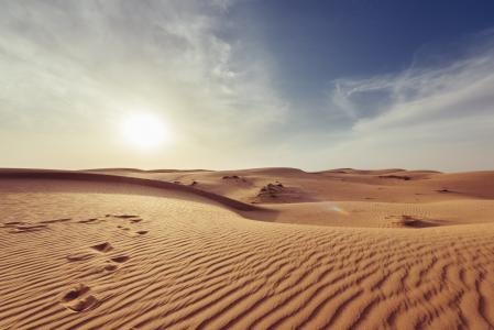 干旱, 荒芜, 黎明, 沙漠, 干, 热, 景观