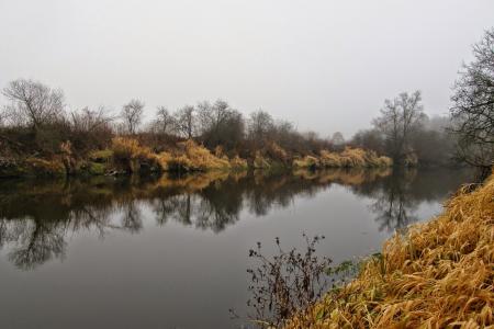 河, 秋天, 景观, 水, 水中倒影, 秋天在河, 安静的河