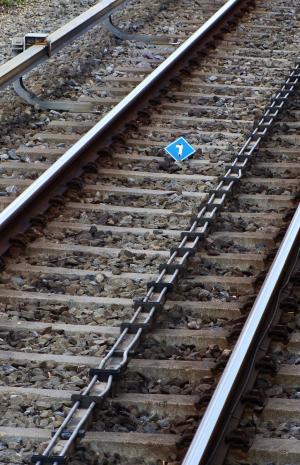 rails, 火车, 在, 运输, 跟踪, 铁路, 旅程