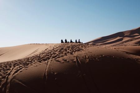 骆驼, 沙漠景观, 动物, 阿拉伯, 沙漠