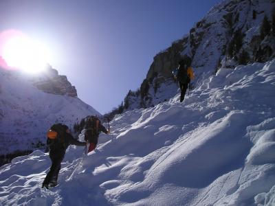 雪地鞋, 徒步旅行, 雪, 雪地, 登山, bergsport, 高山