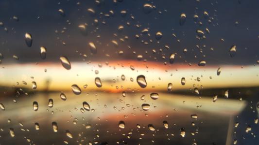 雨, 滴灌, 晚上, 太阳, 雨滴, 湿法, 水