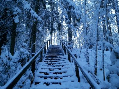 雪, 森林, 路径, 楼梯, 沉默