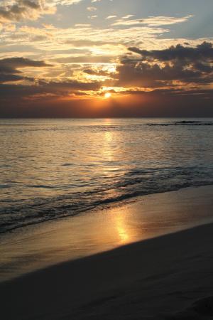 日落, 海, 地平线, 太阳, 海滩, 气氛, 加勒比海