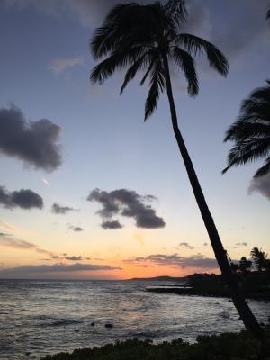 海滩, 云彩, 海岸, 夏威夷, 海洋, 棕榈树, 海