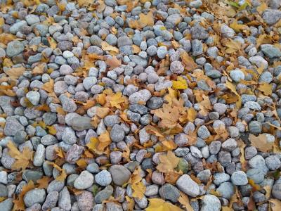 石头, 的土地, 叶, 秋天, 叶子, 石头