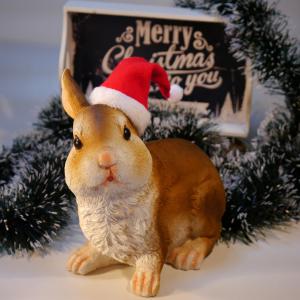 尼古拉斯, 圣诞节, 野兔, 兔子, 庆祝活动, 冬天, 礼物