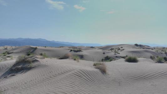 沙漠, 沙子, 沙丘, 景观, 墨西哥, 旅行, 白色