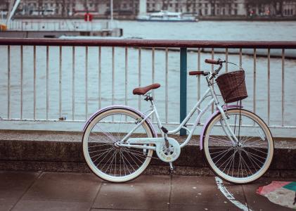 自行车, 自行车, 购物篮, 海, 水, 钢, 栅栏