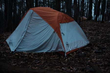 帐篷, 冒险, 户外, 树木, 植物, 自然, 露营
