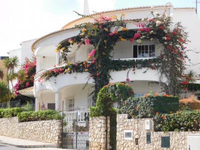 地中海房子, 度假之家, 葡萄牙, 立面, 花, 白色的建筑, 街景