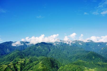 景观, 小山, 绿色, 蓝色, 云彩, 森林, 字段