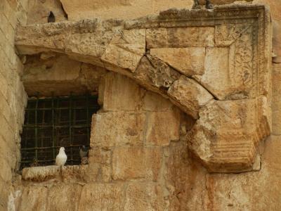 寺庙墙壁, 南部的台阶, 古代, 耶路撒冷, 和平