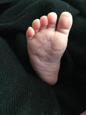 脚, 宝贝, 因素, 脚趾, 新增功能, 儿童, 新生儿