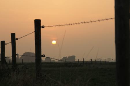 土地, 栅栏, 日落, 带刺的铁丝网, 田园, 景观, 在土地上