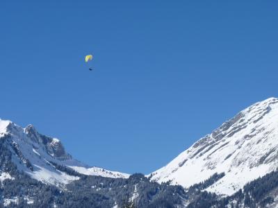 冬天, 滑翔伞, 降落伞, 滑翔伞, 雪, 天空, 飞