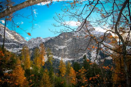 山脉, 秋天, 叶子, 景观, 高山, 祖格峰山, 自然