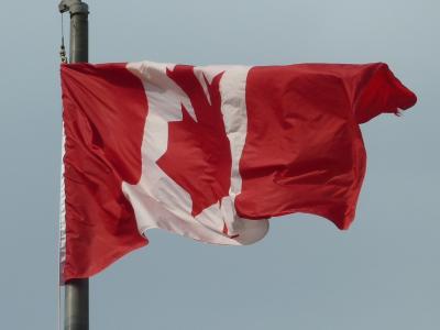 加拿大, 国旗, 旗帜飘扬