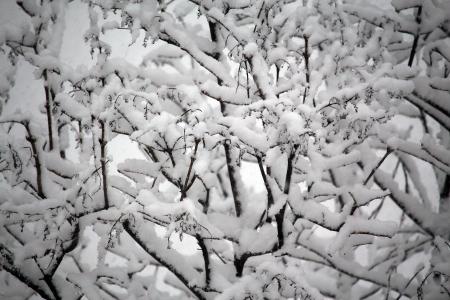 冬天, 雪, 感冒, 赛季, 自然, 白色, 冰