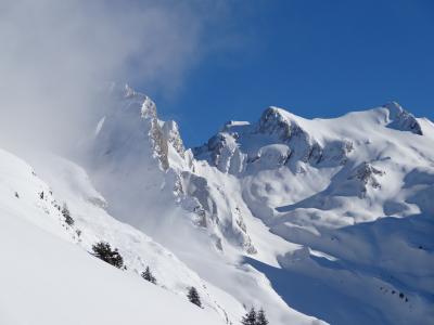 山, 阿尔卑斯山, 白色, 冬天, 雪, 自然, 山的顶峰