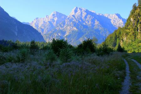 山, 走了, 草甸, 自然, 景观, 线索, 奥地利