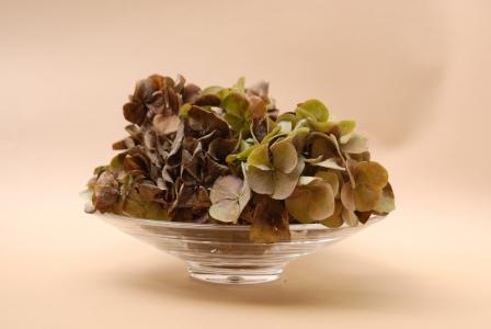 hortencias, 花, 花瓶, 自然, 植物, 叶, 特写
