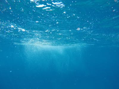 水下, 摄影, 自然, 水, 海洋, 海, 泡沫